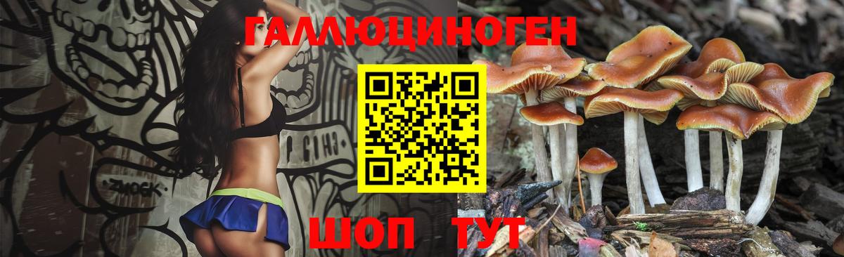 Галлюциногенные грибы MAGIC MUSHROOMS  Вход с VPN  Коломна 